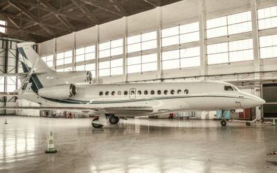 Chartering a Private Jet to Fly with Large Pets Without a Crate (2026): Logistics, Requirements, and Best Practices